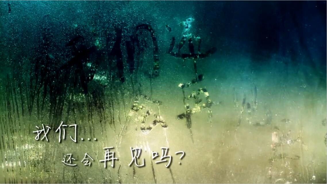 &#108;&#101;&#121;&#117;&#20048;&#40060;